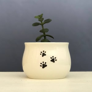 Paw Prints Hand-Painted Mini Pot 2 Inch Succulent Planter Jewelry Cup by NavigateNorth