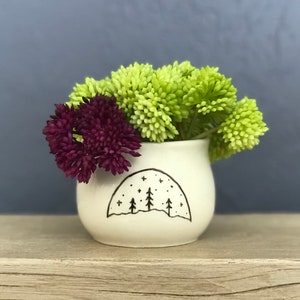 May include: A white ceramic planter with a black and white illustration of a mountain range with stars and trees. The planter is filled with green and purple flowers.