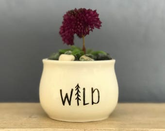 Hand-Painted Mini Planter Pot 2 Inch Succulent Planter Wild Forest Jewelry Cup Pencil Holder NavigateNorth FREE coaster included