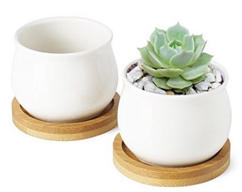 Porcelain Succulent Planter With Bamboo Coaster 2.5 Inch Mini Planter Pot Bamboo Saucer Drain Hole White House Decor From Navigate North