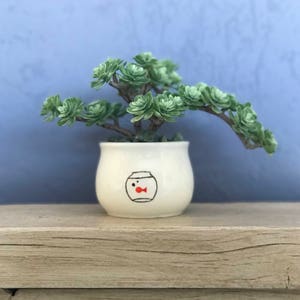 May include: A small white ceramic planter with a hand-painted design of a fishbowl with a red fish inside. The planter is filled with a green succulent plant.