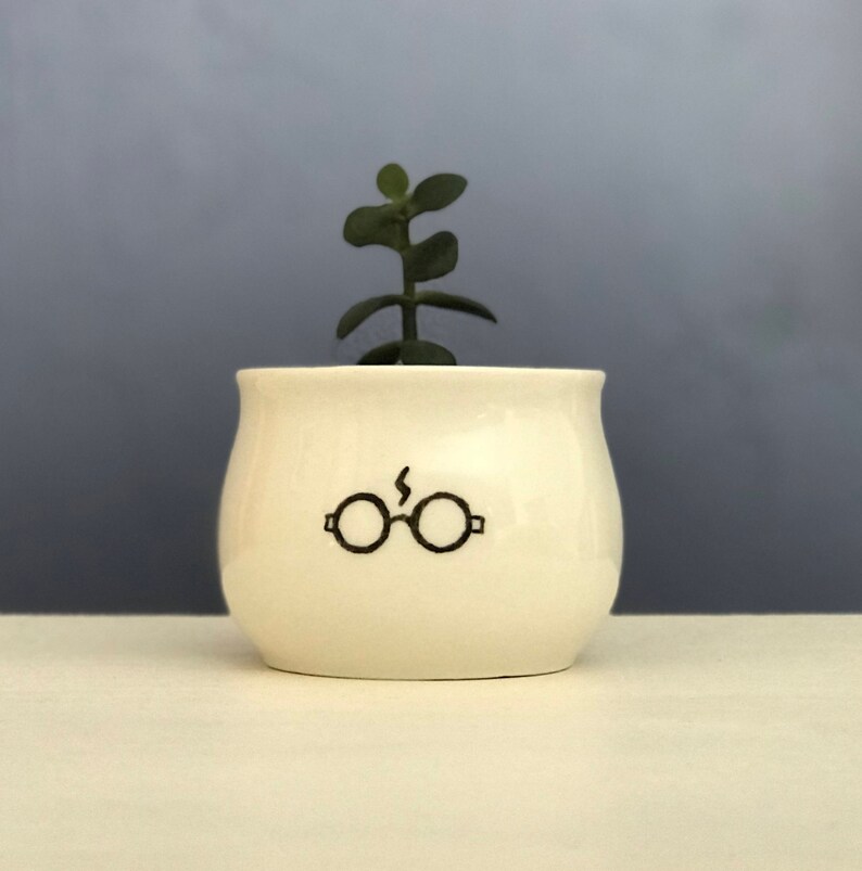 Harry Potter HandPainted Mini Planter Pot 2 Inch