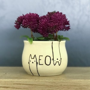 May include: A small white ceramic planter with the word "MEOW" written on it. Two black cat faces are drawn on either side of the word. The planter is filled with a small purple succulent plant.