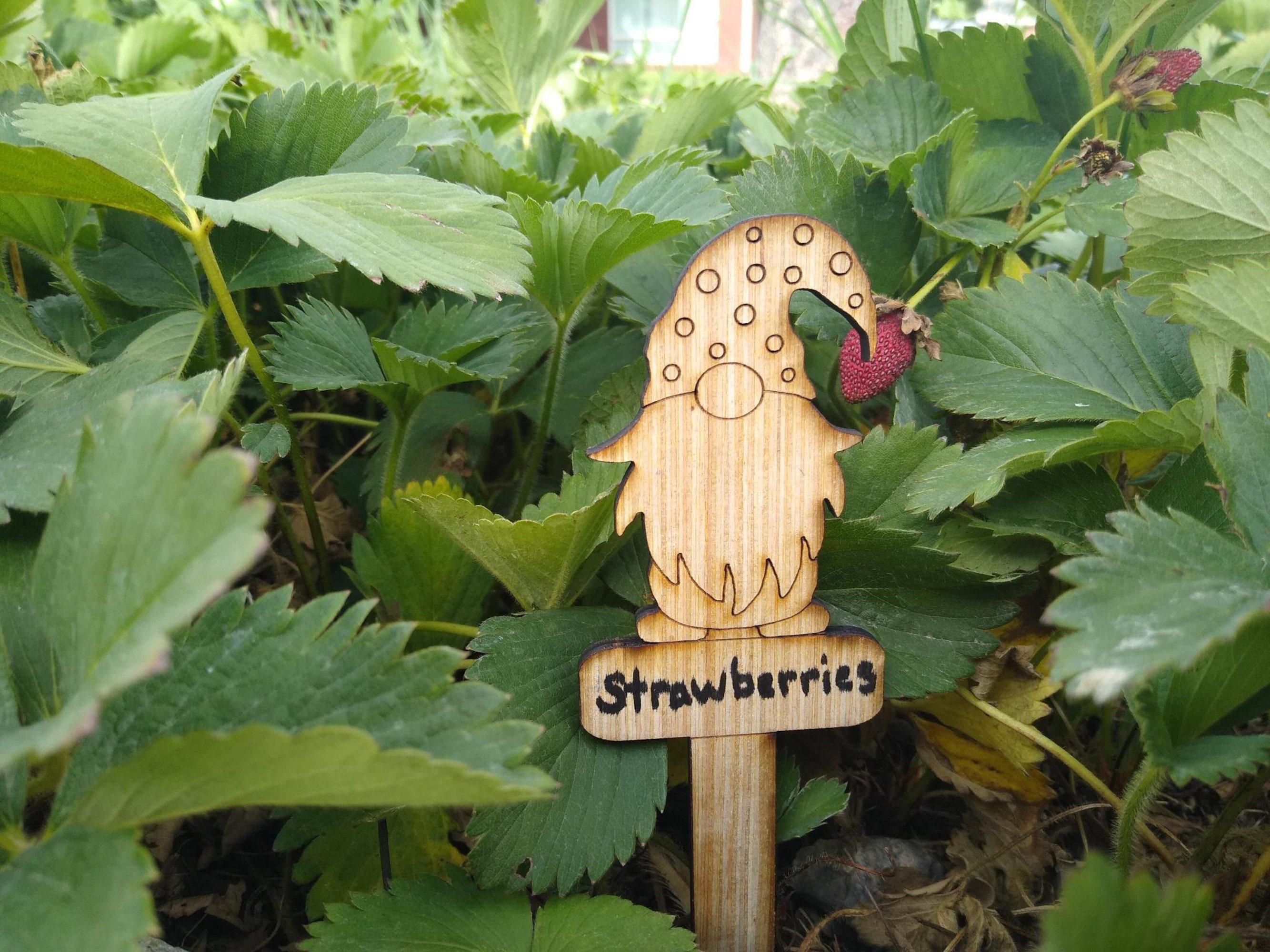 Set of 6 rustic gnome plant markers Etsy