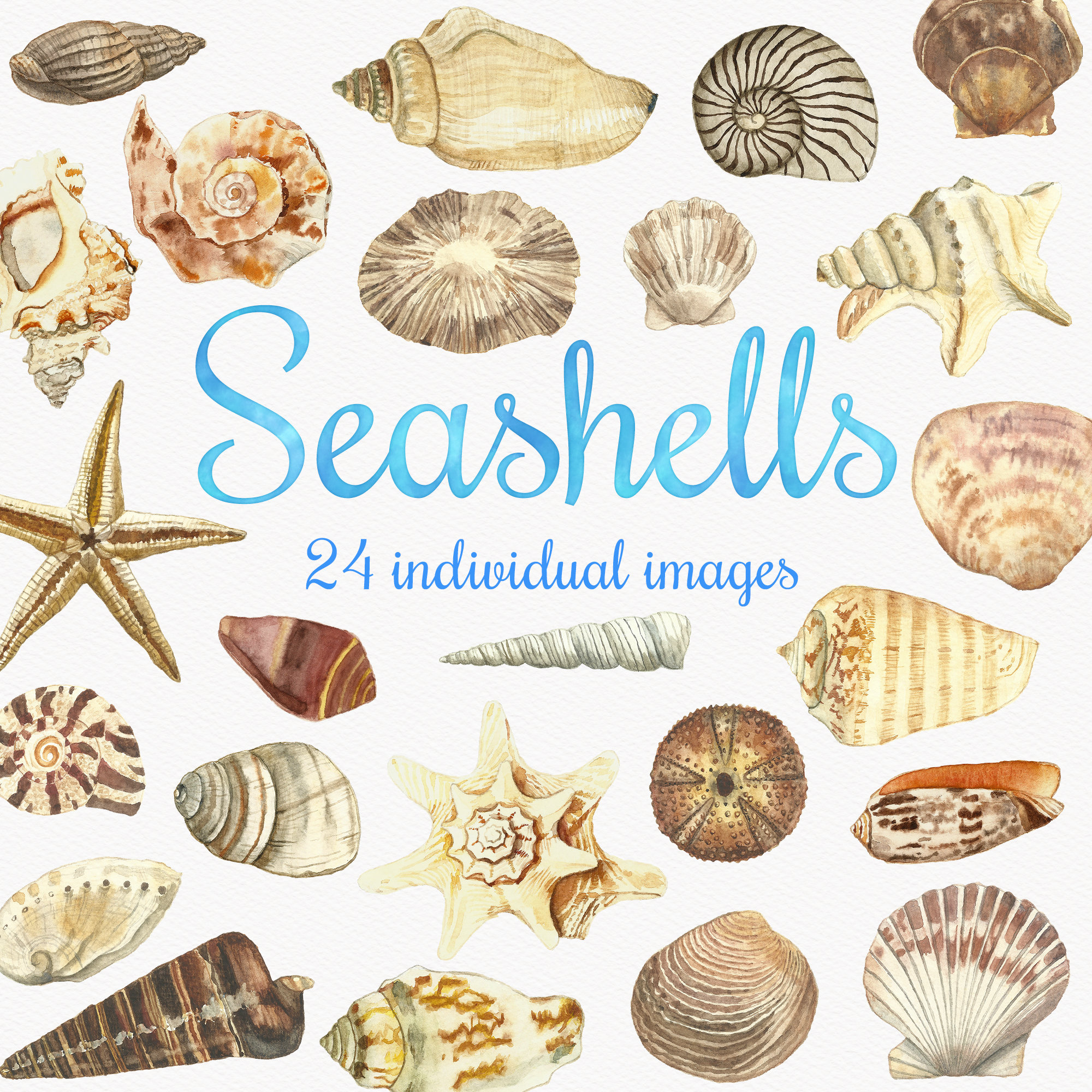 Different seas