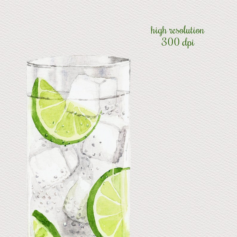 Gin and Tonic Watercolor Drink Cocktail Illustration Summer Etsy