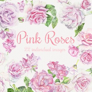 Pink Roses Watercolor Floral Clipart