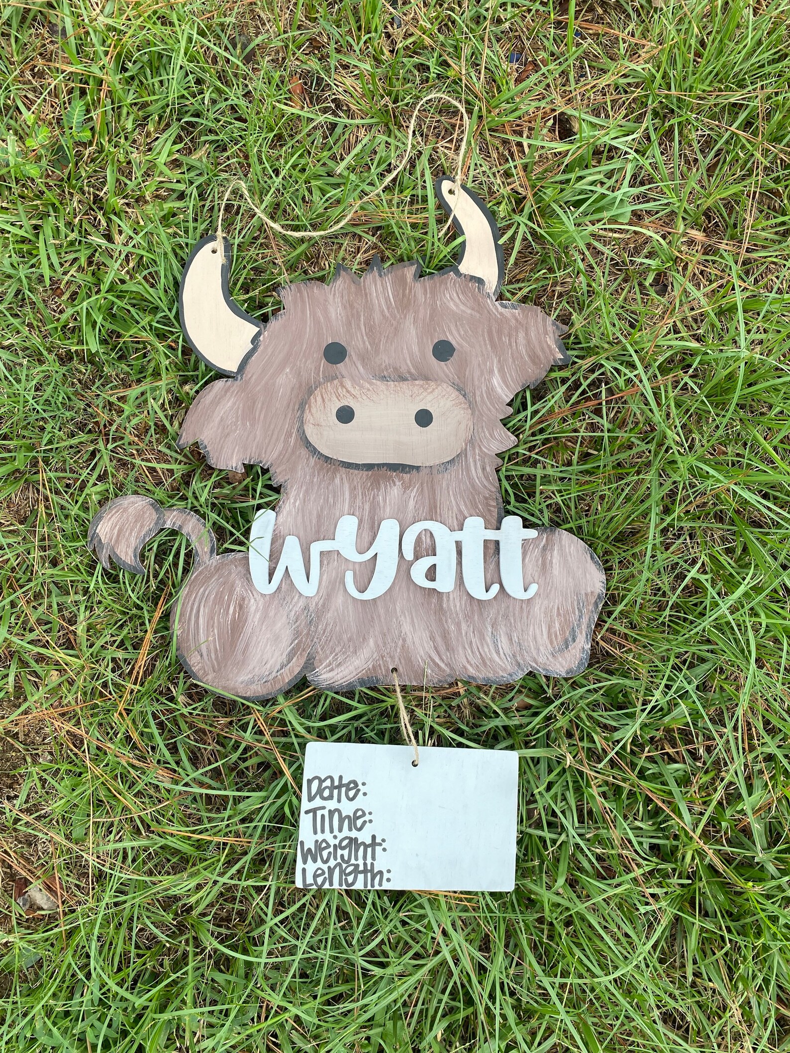 Baby Highland Cow Hospital Door Hanger Farm Baby Etsy