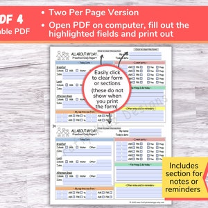 Preschool Daily Reports Perfect for Home Daycares, Childcare Centers, Nannies and Babysitters, Printable and Fillable PDF Daycare Forms image 5