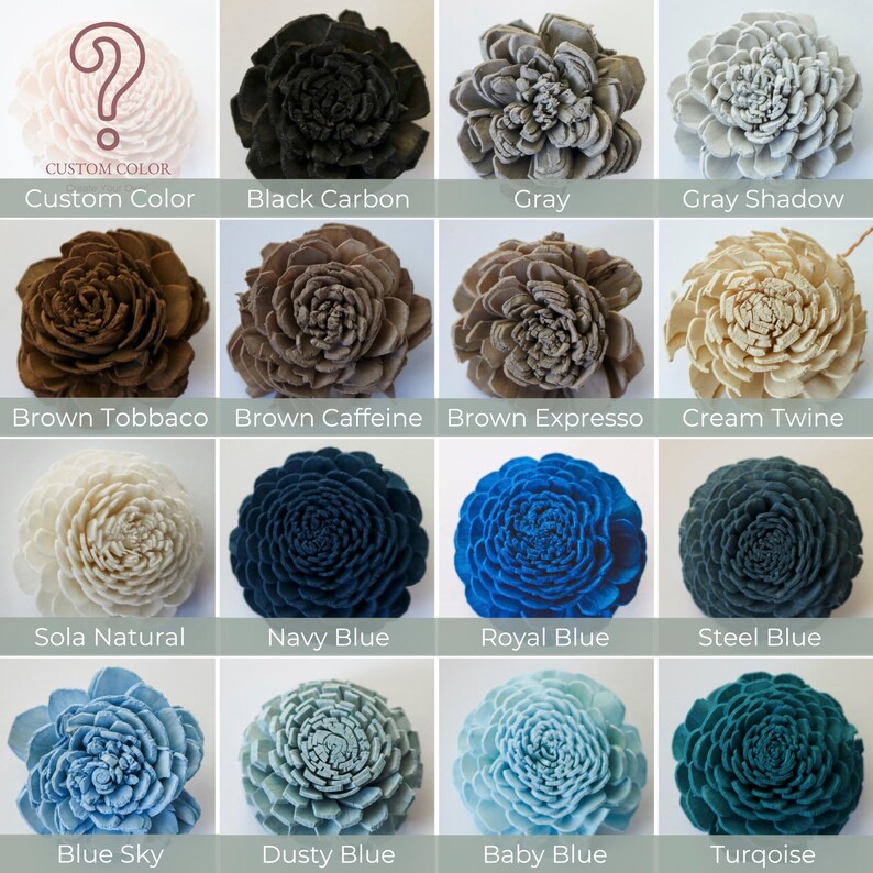 Color Sample Pack / Sola Wood Wedding Flowers Etsy