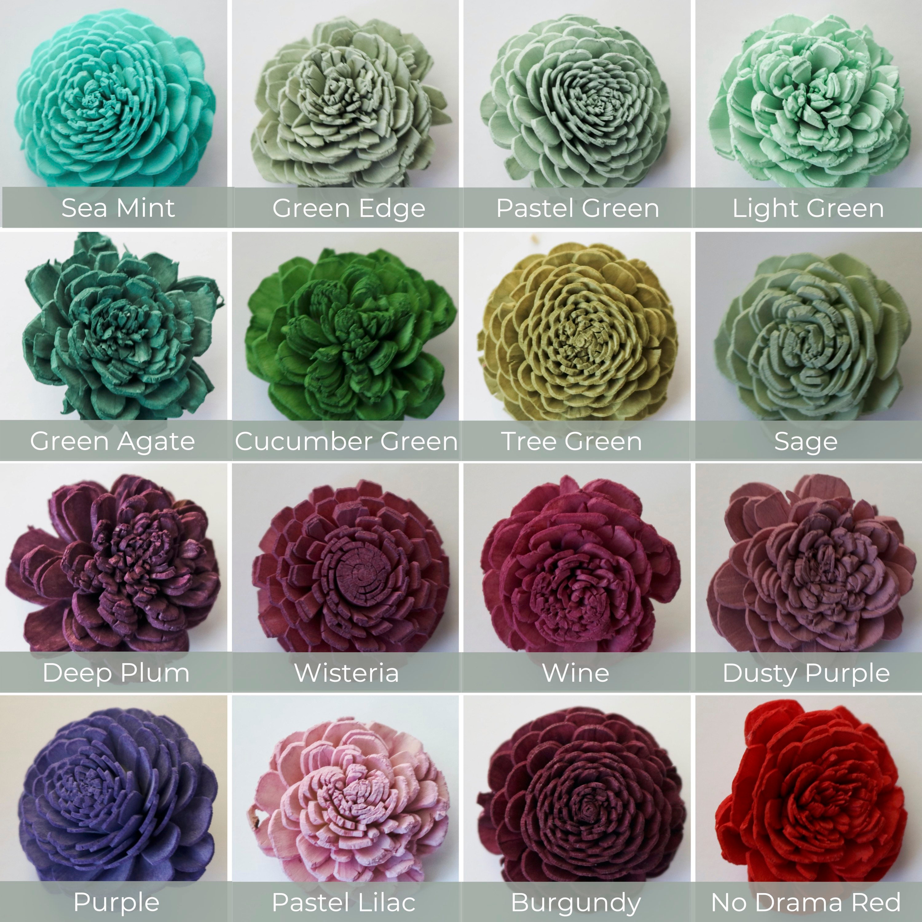 Sola Wood Flowers Color Chart