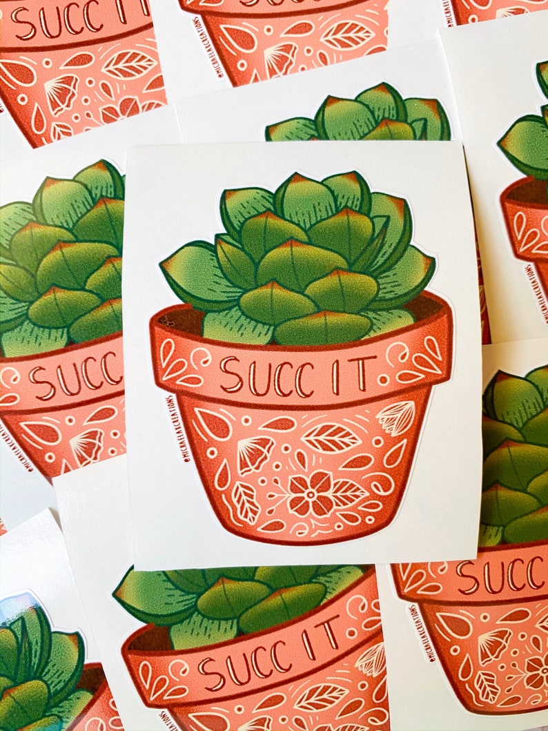 May include: A pink and white patterned terracotta pot with a green succulent plant inside. The pot has the text "SUCC IT." written on it.