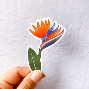 Bird of Paradise Sticker | Stickers for Hydroflask | laptop stickers | laptop stickers Flowers | Vinyl Flower Stickers | Waterproof Sticker