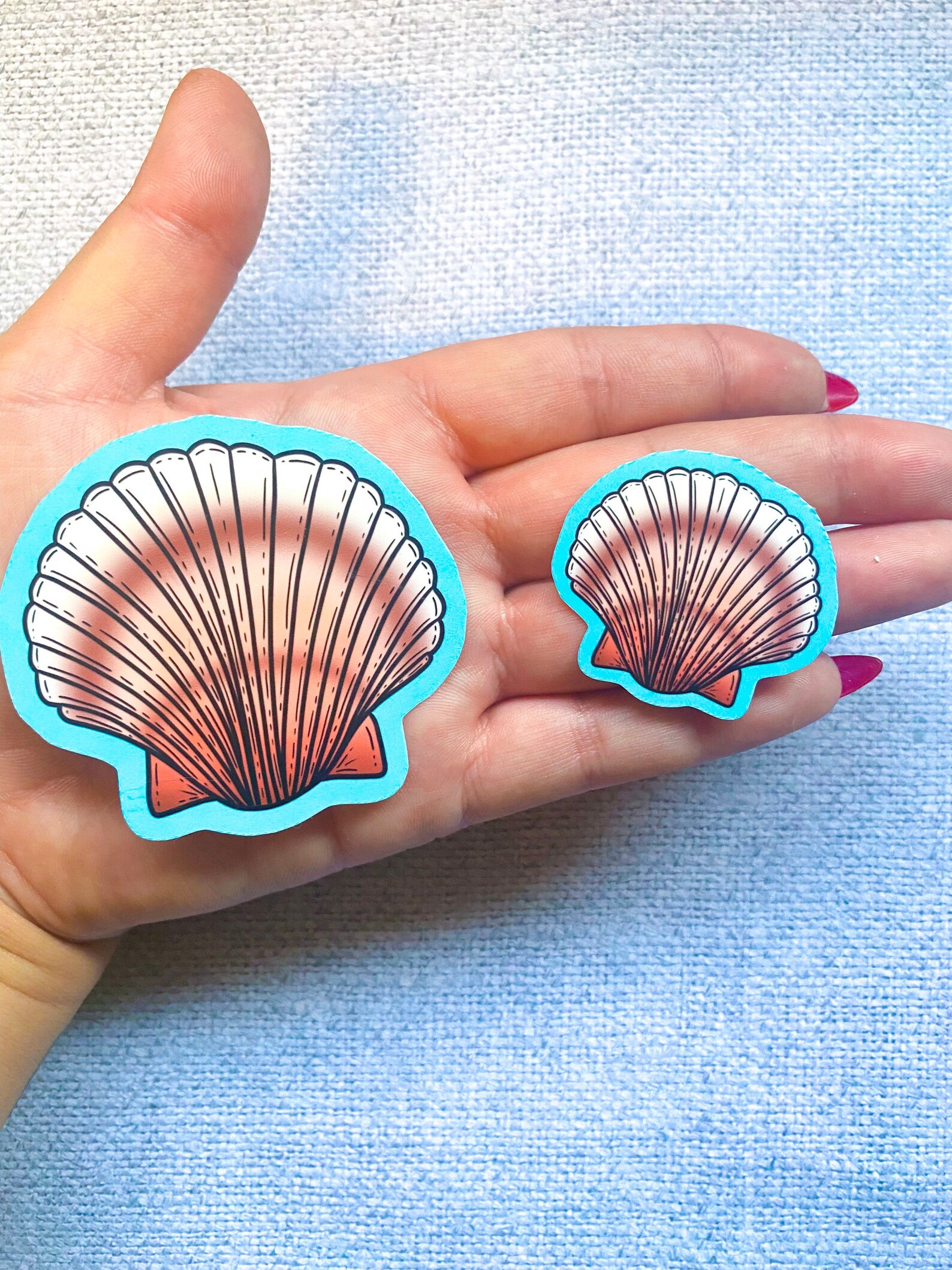 Seashell Sticker stickers Stickers for Hydroflask Laptop Etsy