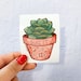 Succulent Sticker | Stickers | Succ It | Stickers | Stickers for Hydroflask | laptop stickers | Waterproof Stickers | Flower Stickers