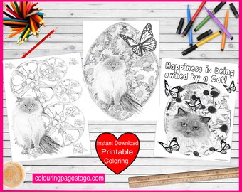 Cat Coloring Page, are you ready for some cuteness meet Chloe Cat and colour your world with a little cute cat collection check it out