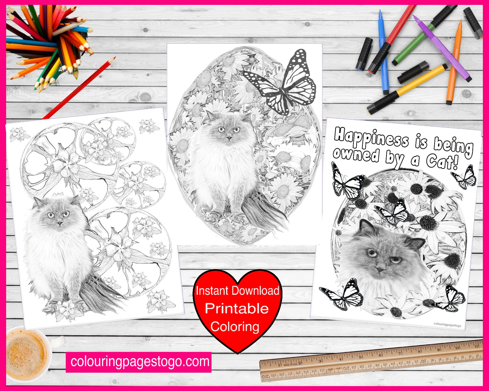Cute Small Cat Coloring Book For Adults And Kids|100 Amazing Cat Coloring  Pages