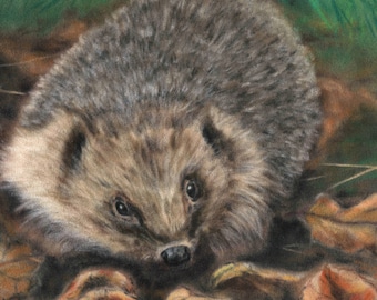 Hedgehog gifts British wildlife print of original hedgehog painting by Tracey Earl