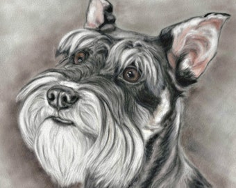 Schnauzer Art Print: Signed Dog Portrait, Dog Lovers Gift