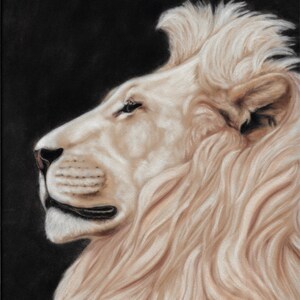 Original Art Print - White Lion - Lion Head Painting - Lion Art - Animal Wall Art - African Wildlife