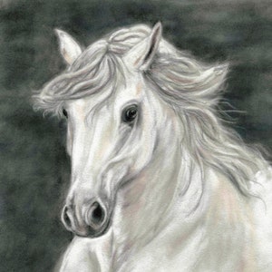 Image de cheval - Cadeaux de cheval - Impression de cheval blanc - Peinture de cheval - Art de cheval