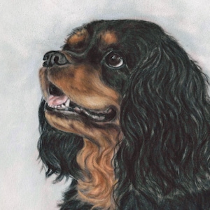 Black and tan Cavalier King Charles spaniel wall art gift original art print