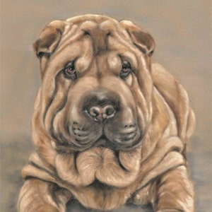 Shar Pei Dog Art: Original Artwork Print, Various Sizes