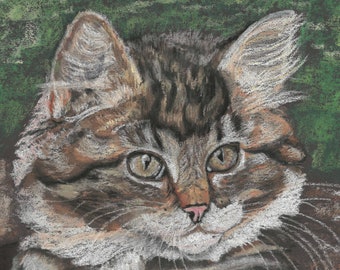 Tabby Cat  - Tabby Cat art print - Cat painting - Cat print - Original art print