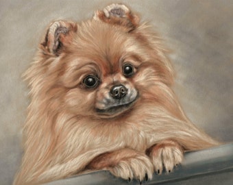 Pomeranian dog art - Pomeranian dog print - Pomeranian dog gifts - Spitz dog - Cute dog - Dog wall art - Dog art print