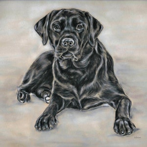 Black Lab Art Print: &#39;Archie&#39; Labrador Pastel Portrait