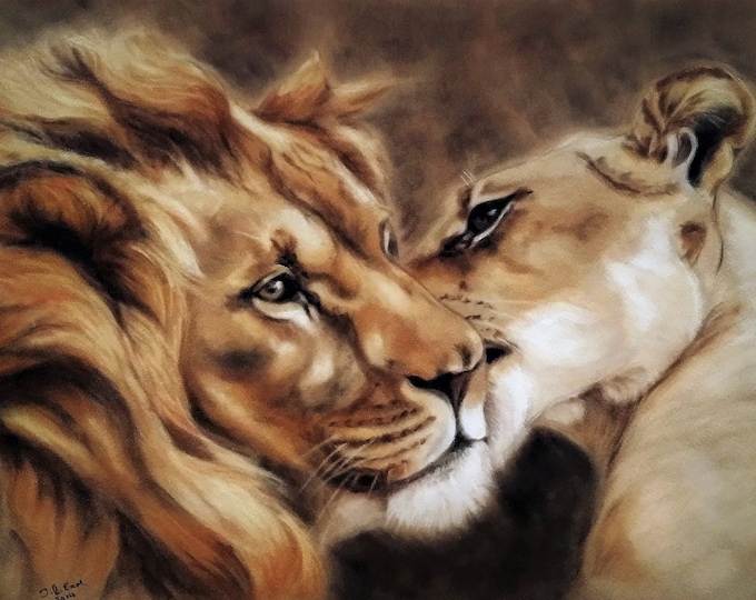 Lion and Lioness Picture Lion Print Animal Lovers Gift - Etsy
