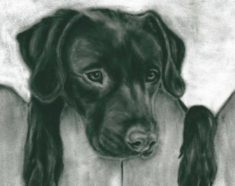 Black Labrador - Black and white print - Labrador painting -  Dog artwork - Black Labrador art print - Black Labrador art