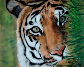 Signed Tiger Art Print: 'Hideaway' Original Animal Wall Art