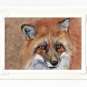 Fox print - Fox card - Cadeau amoureux des animaux - Carte faite à la main - Carte animalière - Vierge ou avec message à l’intérieur