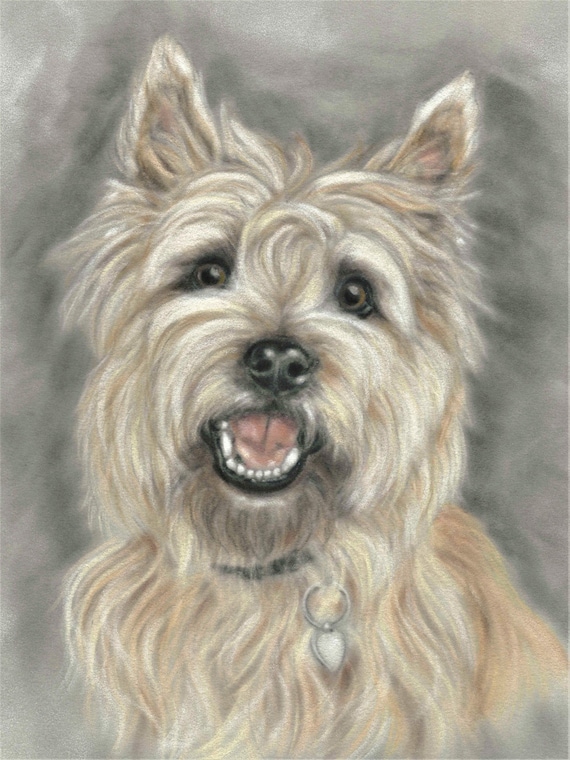 cairn terrier items