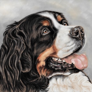 Bernese Mountain dog art - Bernese print - Bernese Mountain dog gifts - Dog wall art - Dog art print