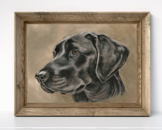 Chocolate Labrador picture dog print of original dog painting Tracey Earl size A4 unframed