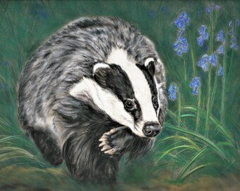 Badger art - Original art print - Badger in Bluebells - Animal painting - Badger print - Animal wall art