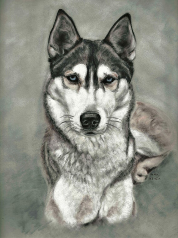 husky art