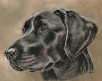 Black Labrador - Black Labrador print - Labrador Gifts - Labrador Portrait