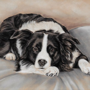 Border Collie Art Print: 'Just Musing' Pastel Painting