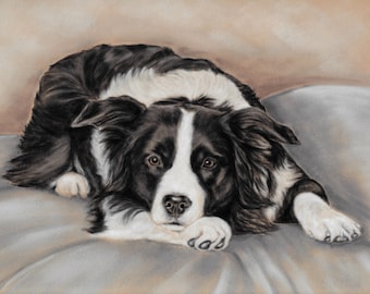 Border Collie Art Print: 'Just Musing' Pastel Painting