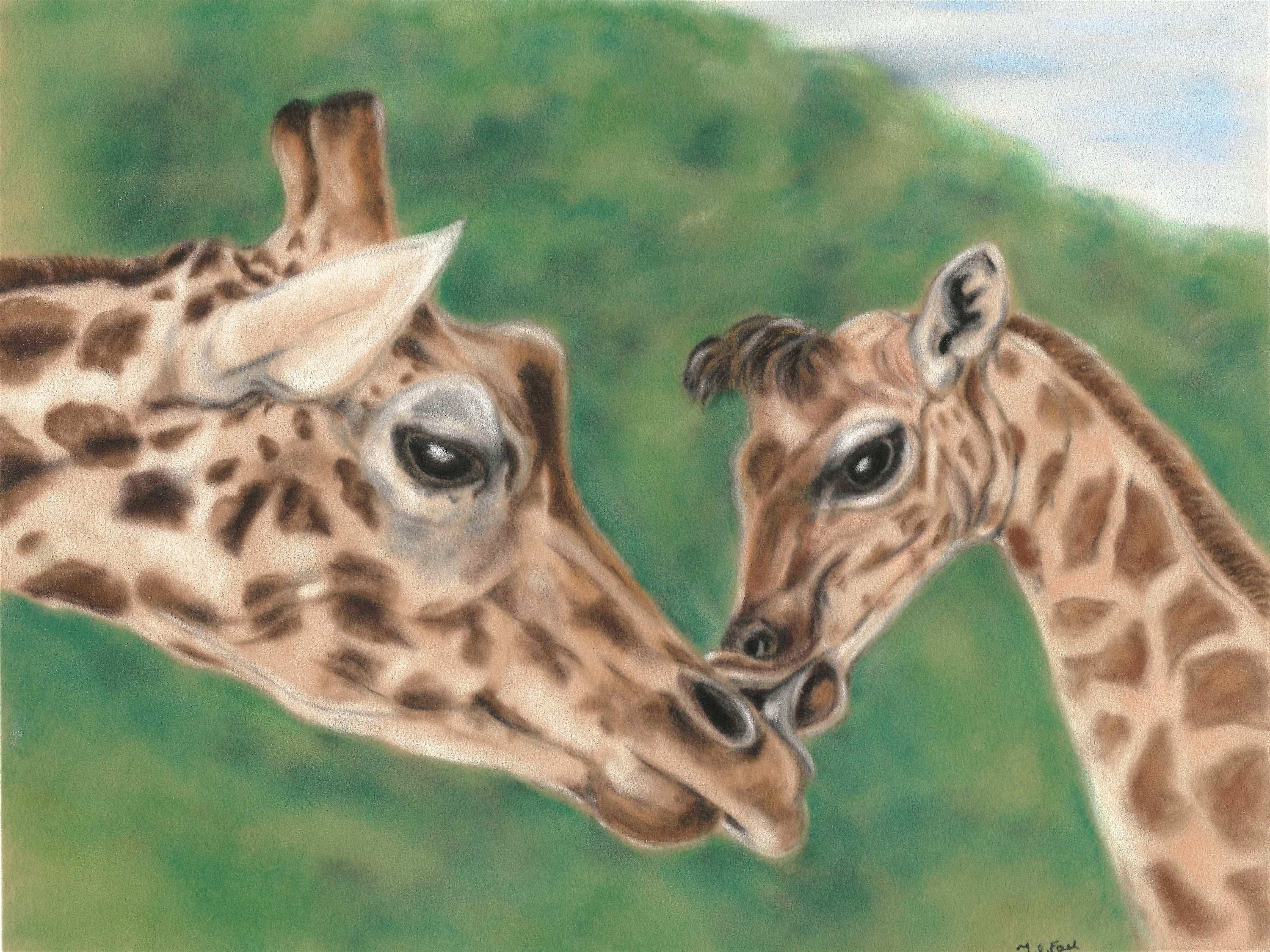 Giraffe Family Giraffe Print Giraffe Mother and Baby Etsy