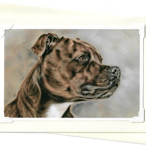 Staffy card - Staffy art - Impression encadrable - Cadeaux Staffordshire Bull terrier - Carte d’art originale - Carte vierge - Personnalisé