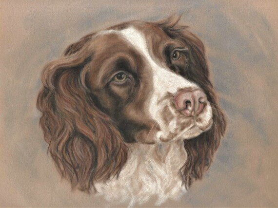 springer spaniel painting