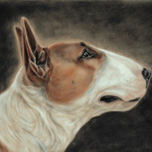 English Bull Terrier Art Print: Red and White Dog Portrait