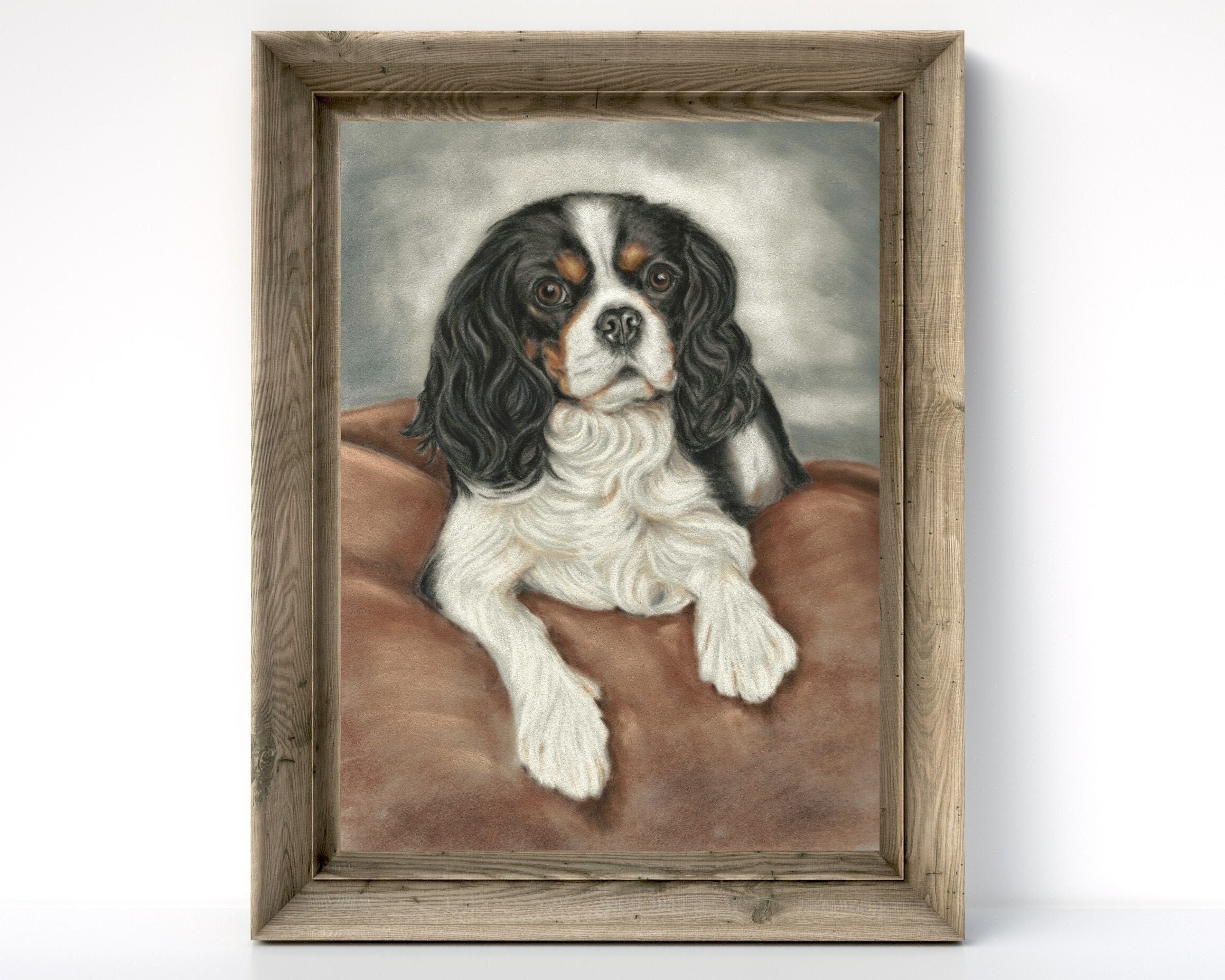tri colour spaniel