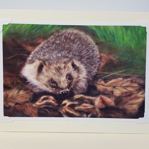 Cadeaux hérisson - Carte hérisson - Amateur de hérisson - Carte animalière - Carte art originale