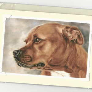 Original Staffordshire Bull terrier art imprimer carte de vœux à la main et cadeau Staffy