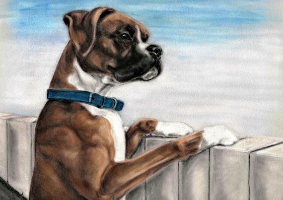 boxer dog merchandise